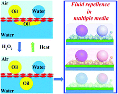 Graphical abstract: A superamphiphobic surface with a hydrogen peroxide-triggered switch to antithetic fluid repellence in a liquid–liquid–air three-phase fluid system