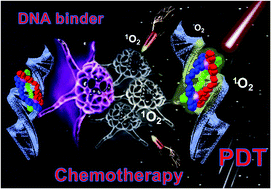 Graphical abstract: Lighting up metallohelices: from DNA binders to chemotherapy and photodynamic therapy
