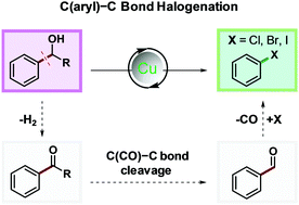 Graphical abstract: Dehydroxyalkylative halogenation of C(aryl)–C bonds of aryl alcohols
