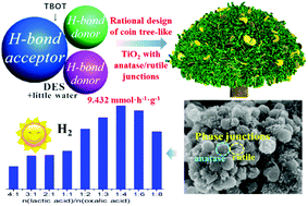 Graphical abstract: Controllable fabrication of TiO2 anatase/rutile phase junctions by a designer solvent for promoted photocatalytic performance