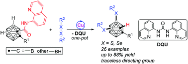 Graphical abstract: 8-Aminoquinoline as a bidentate traceless directing group for Cu-catalyzed selective B(4,5)–H disulfenylation of o-carboranes