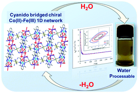Graphical abstract: Accessing water processable cyanido bridged chiral heterobimetallic Co(ii)–Fe(iii) one dimensional network