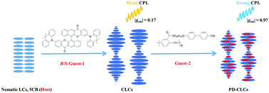 Graphical abstract: Strong CPL of achiral liquid crystal fluorescent polymer via the regulation of AIE-active chiral dopant