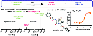 Graphical abstract: Mass spectrometry reveals potential of β-lactams as SARS-CoV-2 Mpro inhibitors