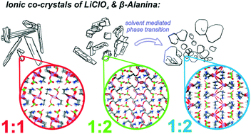 Graphical abstract: Polymorphism and structural diversities of LiClO4–β-alanine ionic co-crystals