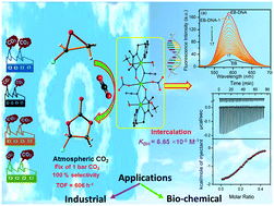 Graphical abstract: DNA intercalative trinuclear Cu(ii) complex with new trans axial nitrato ligation as an efficient catalyst for atmospheric CO2 fixation to epoxides