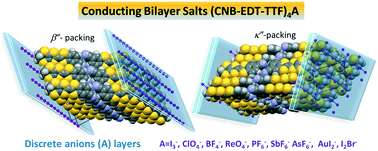 Graphical abstract: Structural diversity in conducting bilayer salts (CNB-EDT-TTF)4A