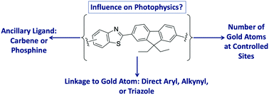 Graphical abstract: Synthesis and photophysics of gold(i) alkynyls bearing a benzothiazole-2,7-fluorenyl moiety: a comparative study analyzing influence of ancillary ligand, bridging moiety, and number of metal centers on photophysical properties