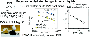 Graphical abstract: Solvation and diffusion of poly(vinyl alcohol) chains in a hydrated inorganic ionic liquid