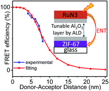 Graphical abstract: Distance dependent energy transfer dynamics from a molecular donor to a zeolitic imidazolate framework acceptor