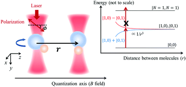 Graphical abstract: Entanglement via rotational blockade of MgF molecules in a magic potential