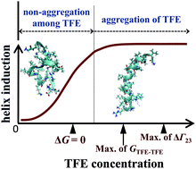 Graphical abstract: Two different regimes in alcohol-induced coil–helix transition: effects of 2,2,2-trifluoroethanol on proteins being either independent of or enhanced by solvent structural fluctuations