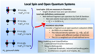 Graphical abstract: Local spin and open quantum systems: clarifying misconceptions, unifying approaches