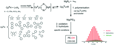 Graphical abstract: Catalyzed chain growth polymerisation of ethylene using lanthanidocenes/dialkylmagnesium: further developments and one pot synthesis of narrow dispersed high molecular weight fatty alcohols