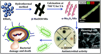 Graphical abstract: Design of γ-AlOOH, γ-MnOOH, and α-Mn2O3 nanorods as advanced antibacterial active agents