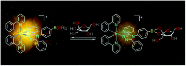 Graphical abstract: Luminescent iridium(iii)–boronic acid complexes for carbohydrate sensing