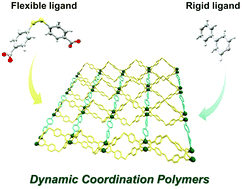 Graphical abstract: Dynamic porous coordination polymers built-up from flexible 4,4′-dithiodibenzoate and rigid N-based ligands