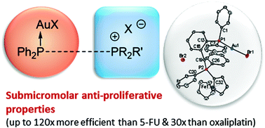 Graphical abstract: Development of a novel highly anti-proliferative family of gold complexes: Au(i)-phosphonium-phosphines