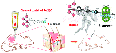 Graphical abstract: Synthesis of ruthenium complexes functionalized with benzothiophene and their antibacterial activity against Staphylococcus aureus