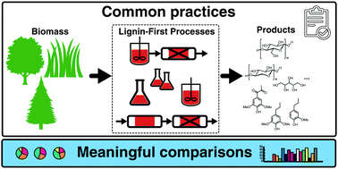 Graphical abstract: Guidelines for performing lignin-first biorefining