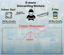 Graphical abstract: Organophosphate flame retardants and diesters in the urine of e-waste dismantling workers: associations with indoor dust and implications for urinary biomonitoring