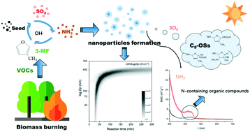 Graphical abstract: Joint impact of atmospheric SO2 and NH3 on the formation of nanoparticles from photo-oxidation of a typical biomass burning compound