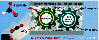 Graphical abstract: Production of formate from CO2 gas under ambient conditions: towards flow-through enzyme reactors
