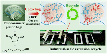Graphical abstract: Upcycling of post-consumer polyolefin plastics to covalent adaptable networks via in situ continuous extrusion cross-linking