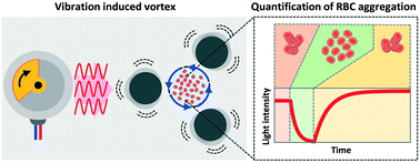 Graphical abstract: Vibration motor-integrated low-cost, miniaturized system for rapid quantification of red blood cell aggregation