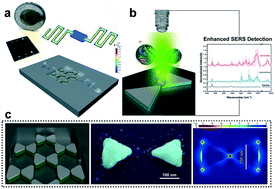 Graphical abstract: Plasmonic nanobowtiefluidic device for sensitive detection of glioma extracellular vesicles by Raman spectrometry