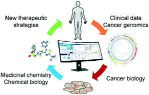 Graphical abstract: Online informatics resources to facilitate cancer target and chemical probe discovery
