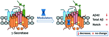 Graphical abstract: Recent developments of small molecule γ-secretase modulators for Alzheimer's disease