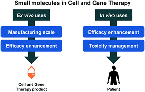 Graphical abstract: The role of small molecules in cell and gene therapy