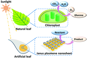 Graphical abstract: Self-assembled Janus plasmene nanosheets as flexible 2D photocatalysts