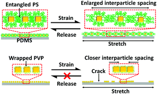 Graphical abstract: Plasmene nanosheets as optical skin strain sensors