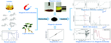Graphical abstract: A new integrated method of magnetic separation of isoquinoline alkaloids from Coptis chinensis based on their magnetized derivatives and key physical properties
