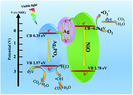 Graphical abstract: Facile fabrication of a NiO/Ag3PO4 Z-scheme photocatalyst with enhanced visible-light-driven photocatalytic activity