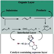 Graphical abstract: Catalytic isomerization–hydroformylation of olefins by rhodium salicylaldimine pre-catalysts