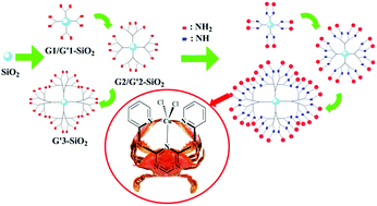 Graphical abstract: End-grafted Cu-NNN pincer complexes on PAMAM dendrimers-SiO2: synthesis and characterization