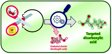Graphical abstract: Oxidative cleavage of cycloalkenes using hydrogen peroxide and a tungsten-based catalyst: towards a complete mechanistic investigation
