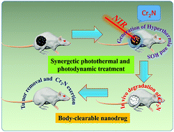 Graphical abstract: Body-clearable chromium nitride for synergetic photothermal and photodynamic treatment