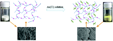 Graphical abstract: Synthesis of N-(3-aminopropyl)imidazole-based poly(ionic liquid) as an adsorbent for the selective recovery of Au(iii) ions from aqueous solutions