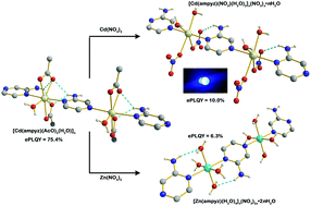 Graphical abstract: Secondary ligands and the intramolecular hydrogen bonds drive photoluminescence quantum yields from aminopyrazine coordination polymers