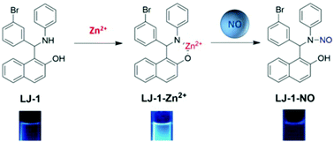 Graphical abstract: A novel fluorescence sensor for relay recognition of zinc ions and nitric oxide through fluorescence ‘off–on–off’ functionality