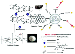 Graphical abstract: Study of the removal of ciprofloxacin by Zn–GO@SA aerogel microspheres