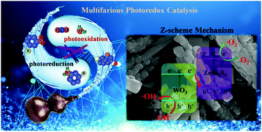 Graphical abstract: A direct Z-scheme mechanism for selective hydrogenation of aromatic nitro compounds over a hybrid photocatalyst composed of ZnIn2S4 and WO3 nanorods