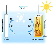 Graphical abstract: Assembling of Bi atoms on TiO2 nanorods boosts photoelectrochemical water splitting of semiconductors