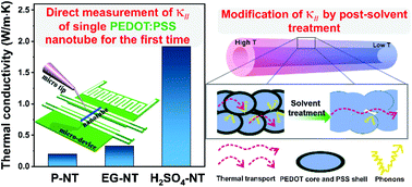 Graphical abstract: Tunable in-plane thermal conductivity of a single PEDOT:PSS nanotube