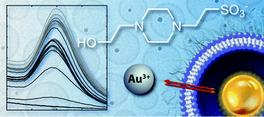Graphical abstract: Elucidating the anomalous membrane permeability of Ag(i), Cu(ii), Zn(ii) and Au(iii) towards new nanoreactor strategies for synthesizing metal nanoparticles