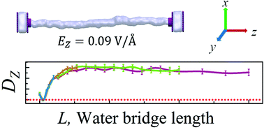 Graphical abstract: Adjustable diffusion enhancement of water molecules in a nanoscale water bridge